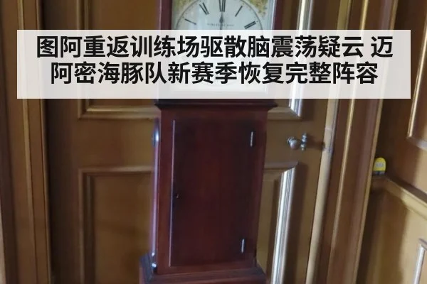 图阿重返训练场驱散脑震荡疑云 迈阿密海豚队新赛季恢复完整阵容